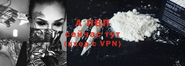 винт Мегион