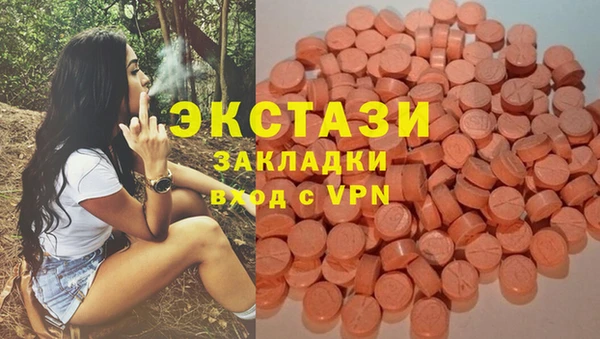 гашик Горняк