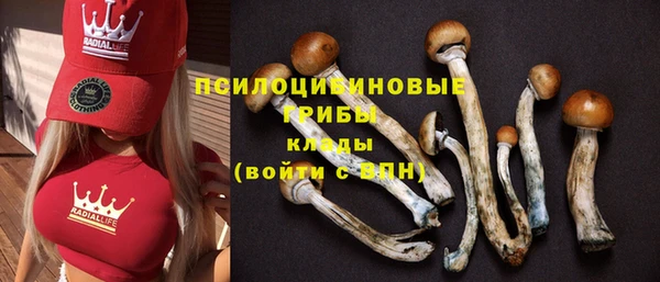 мескалин Гусь-Хрустальный