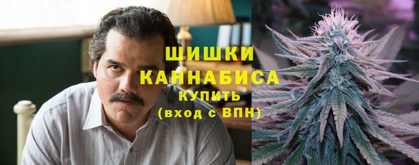 винт Мегион