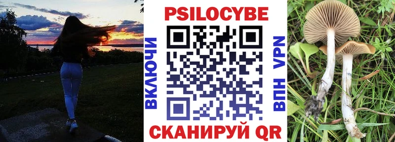 Псилоцибиновые грибы GOLDEN TEACHER  Дедовск 