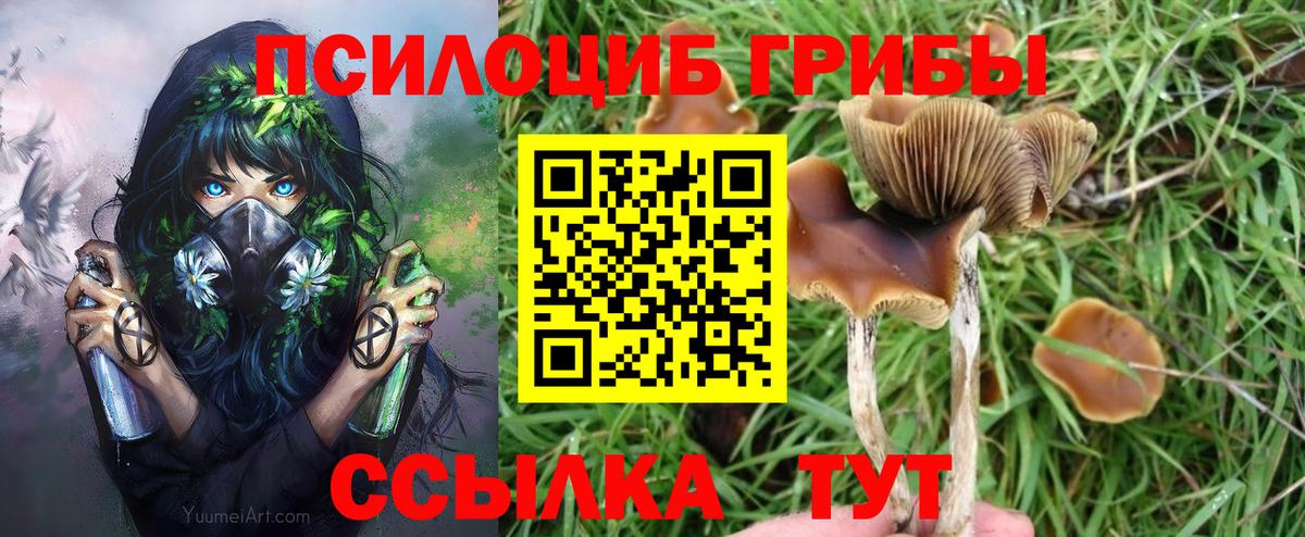 Псилоцибиновые грибы мухоморы Дедовск