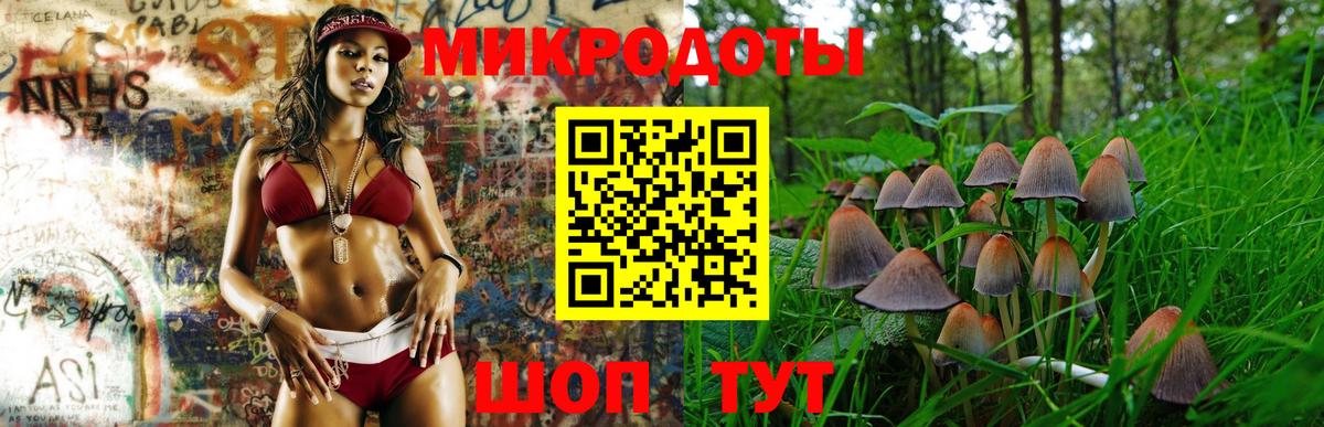 Псилоцибиновые грибы Psilocybine cubensis  Вход с VPN  Псилоцибиновые грибы Psilocybine cubensis  Дедовск 