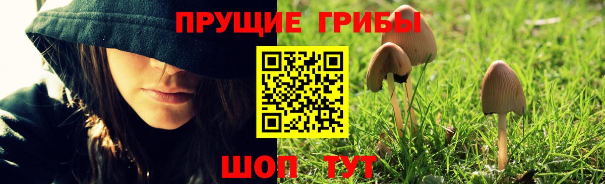 Галлюциногенные грибы MAGIC MUSHROOMS Дедовск